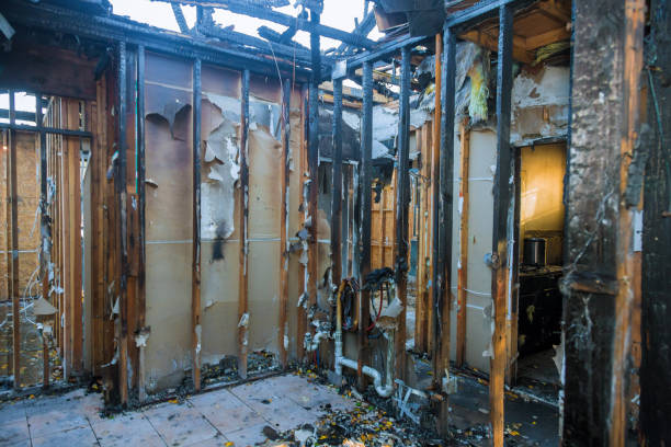Professional Smoke Damage Removal technician working in Louisville, KY